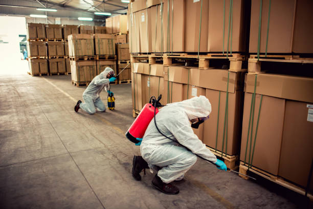 Reliable Irmo, SC Pest Control Solutions