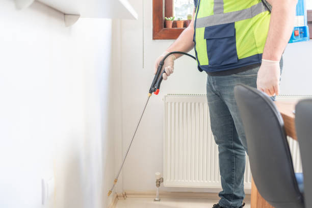 Flea Control Services in Irmo, SC