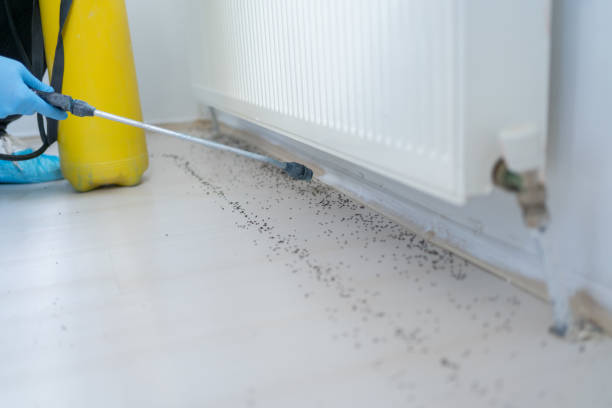 Best Commercial Pest Control Services  in Irmo, SC
