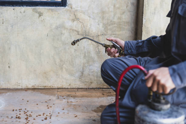 Best Best Pest Control Companies  in Irmo, SC