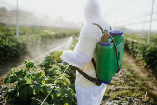 Best Emergency Pest Control  in Irmo, SC